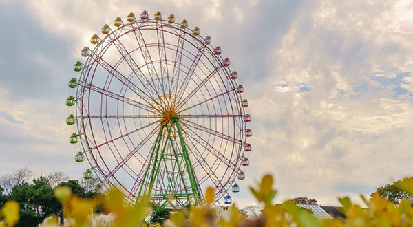 Hitachi Seaside Park - Japan’s Most Spectacular Views