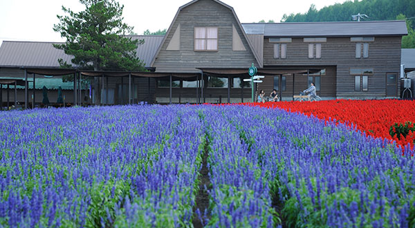 Nakafurano - Japan’s Most Spectacular Views