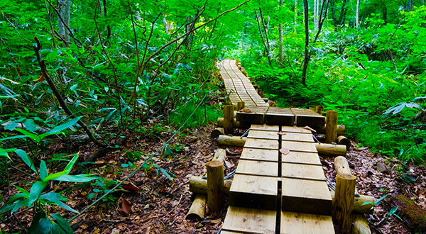 Shirakami Sanchi, Juniko - Japan’s Most Spectacular Views