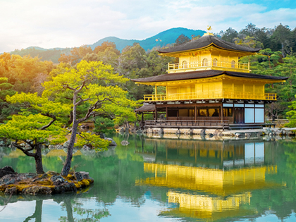 Kyoto Morning Tour