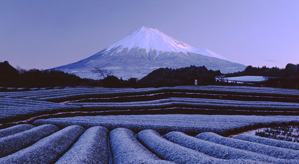 Mount Fuji - Japan’s Most Spectacular Views