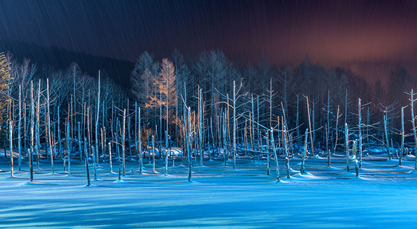 Hokkaido Biei Blue Pond - Japan’s Most Spectacular Views