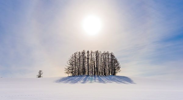 Hokkaido - Japan’s Most Spectacular Views in Winter | hisgo.com