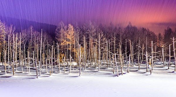 Hokkaido Biei Blue Pond - Japan’s Most Spectacular Views