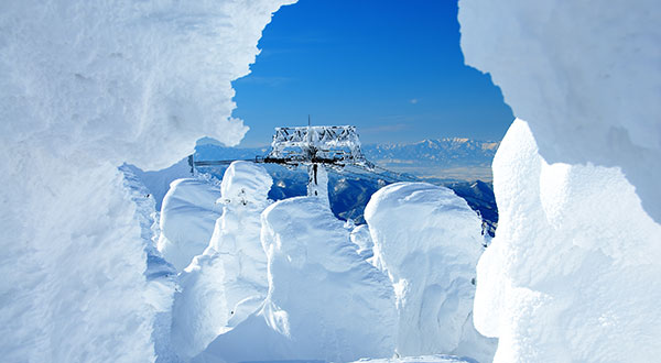 Zao Snow Monster - Japan’s Most Spectacular Views