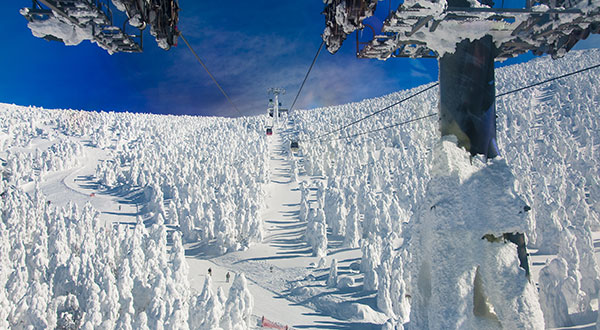 Zao Snow Monster - Japan’s Most Spectacular Views