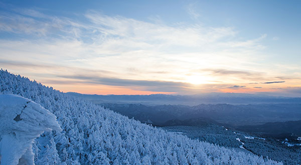 Zao Snow Monster - Japan’s Most Spectacular Views