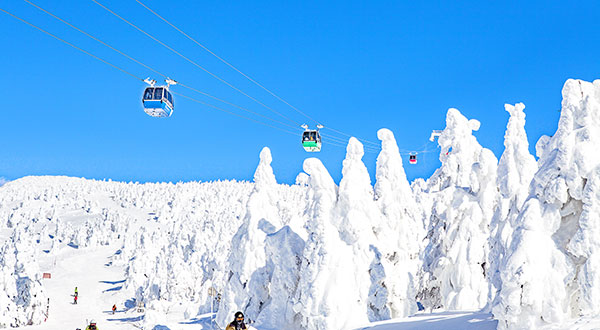 Zao Snow Monster - Japan’s Most Spectacular Views