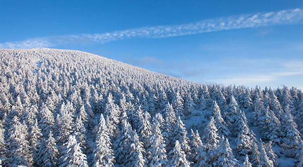 Zao Snow Monster - Japan’s Most Spectacular Views