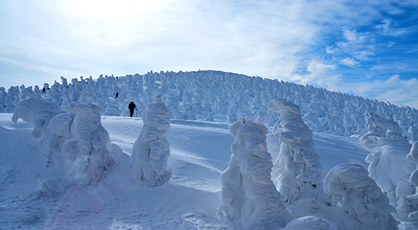 Zao Snow Monster - Japan’s Most Spectacular Views