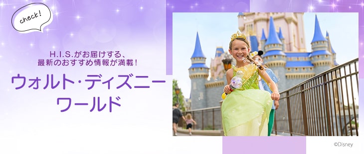 ディズニーワールド