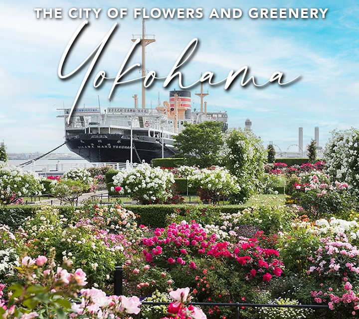 Yokohama, the City of Flowers and Greenery