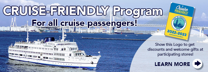 Cruise-Friendly Program