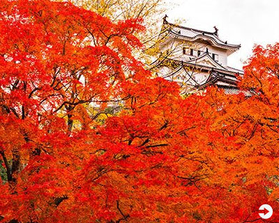 Japan’s Most Spectacular Views in Autumn