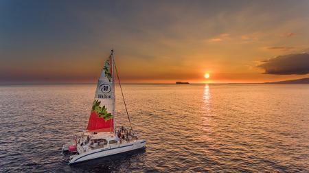 Lealea Sailing at Hilton Hawaiian Village